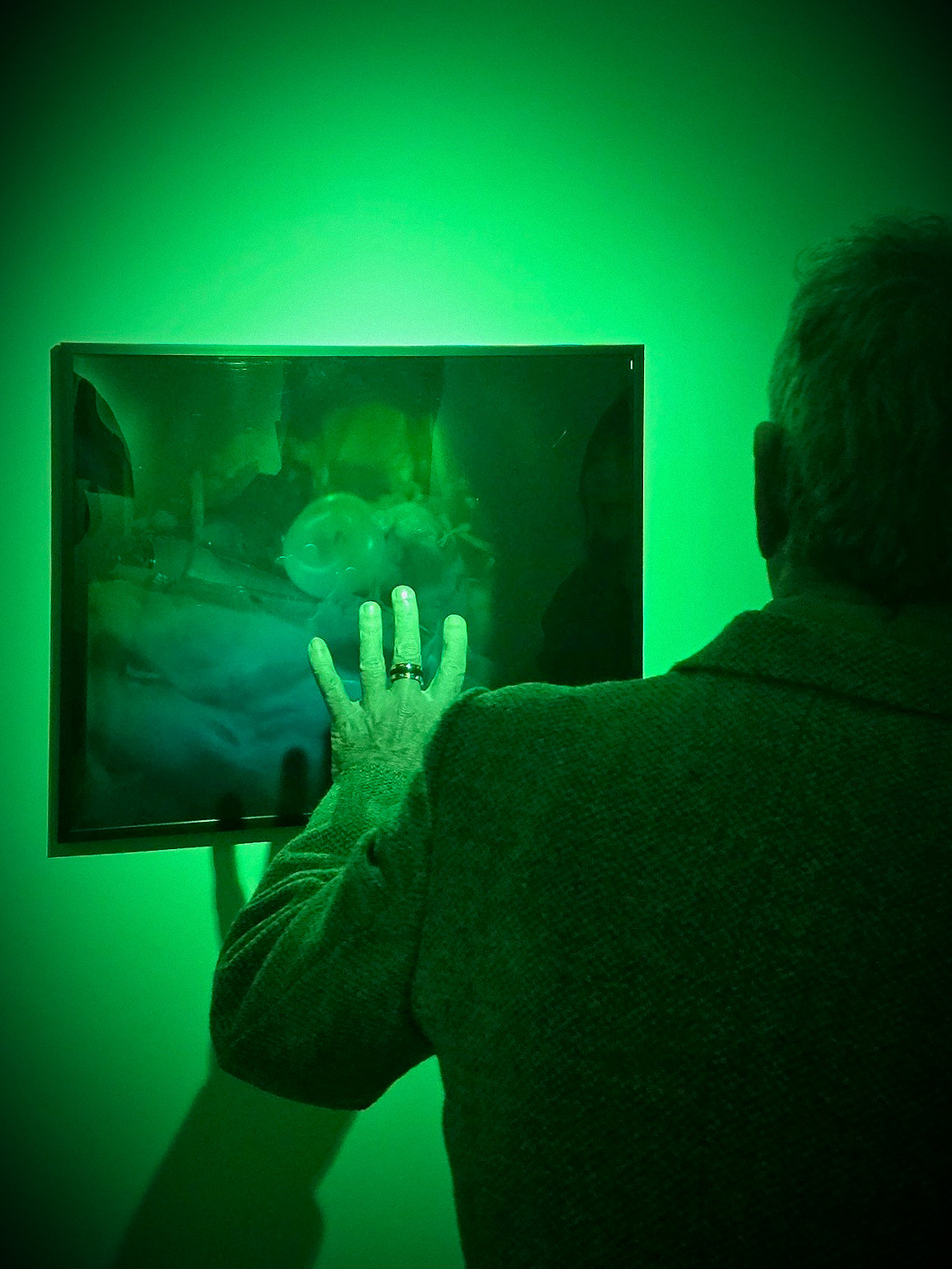 Viewer and analog hologram
